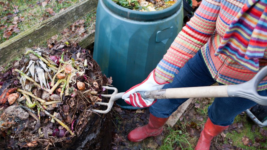 Compost pile